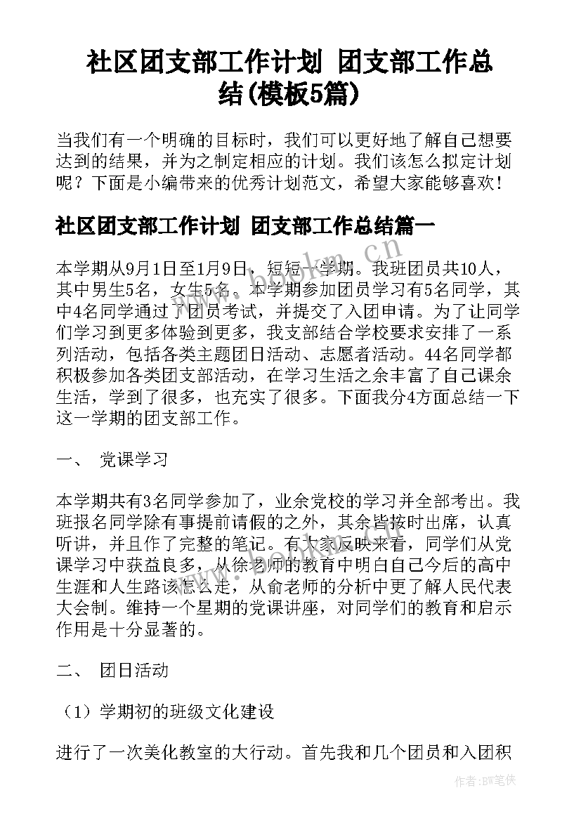 社区团支部工作计划 团支部工作总结(模板5篇)