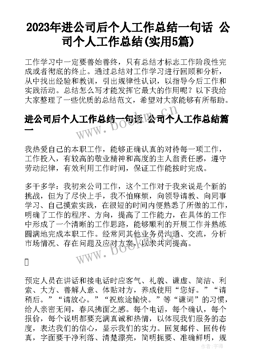 2023年进公司后个人工作总结一句话 公司个人工作总结(实用5篇)