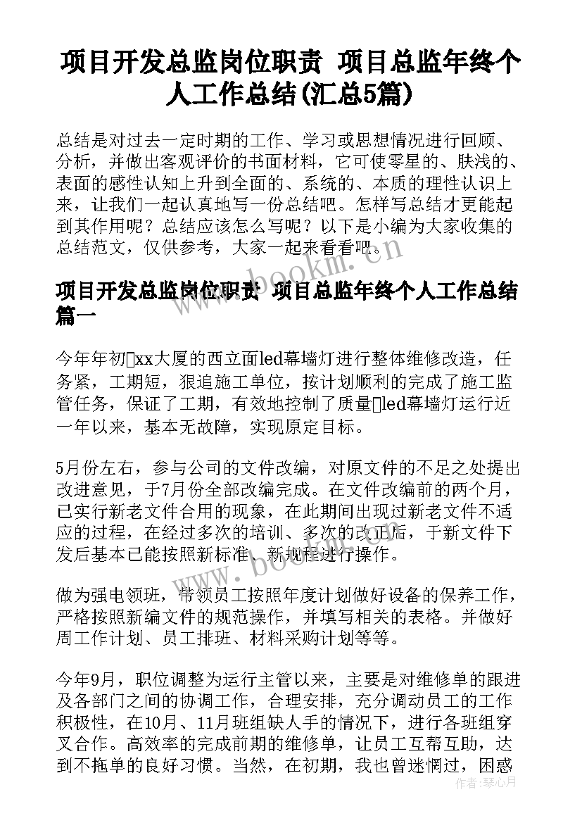 项目开发总监岗位职责 项目总监年终个人工作总结(汇总5篇)