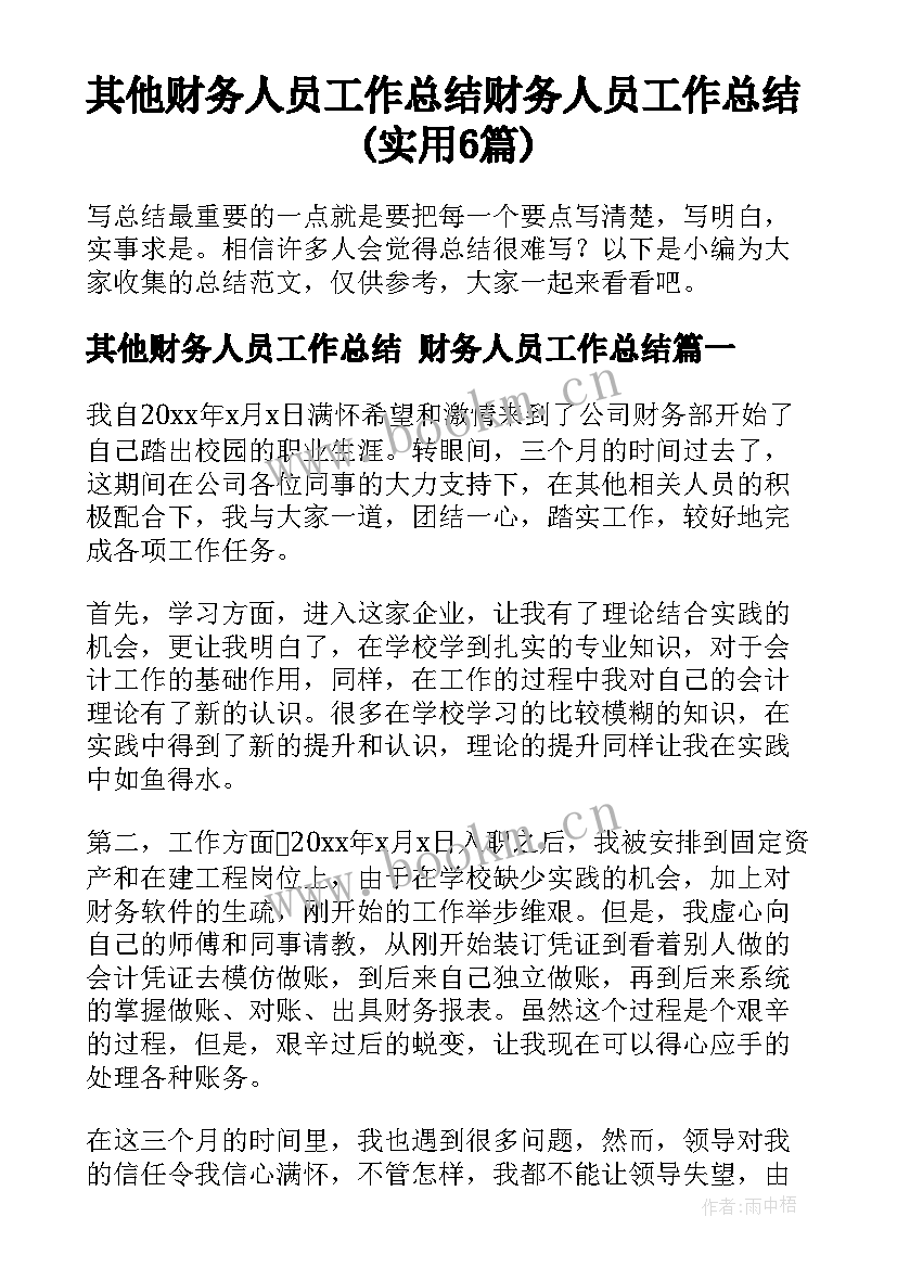 其他财务人员工作总结 财务人员工作总结(实用6篇)