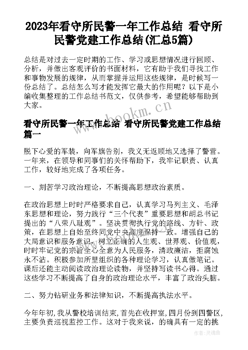 2023年看守所民警一年工作总结 看守所民警党建工作总结(汇总5篇)