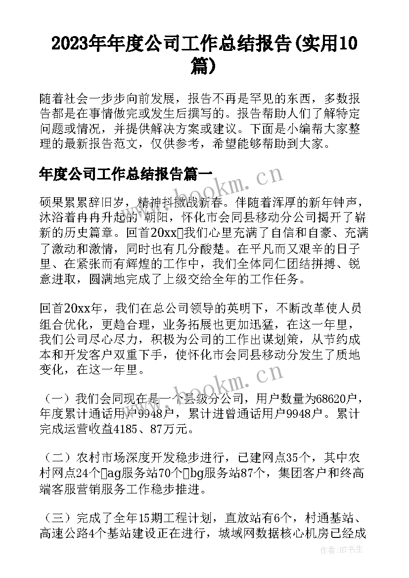 2023年年度公司工作总结报告(实用10篇)