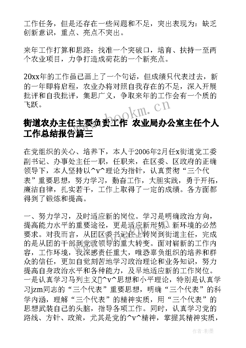 街道农办主任主要负责工作 农业局办公室主任个人工作总结报告(优质5篇)