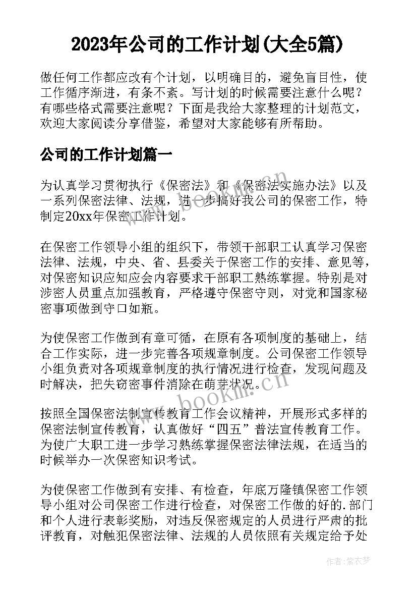 2023年公司的工作计划(大全5篇)