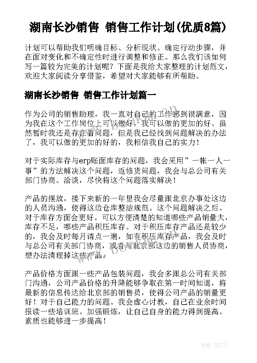 湖南长沙销售 销售工作计划(优质8篇)