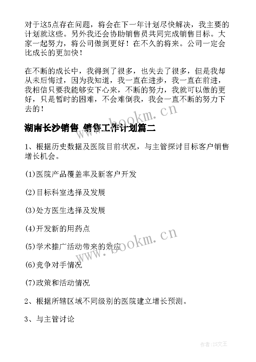 湖南长沙销售 销售工作计划(优质8篇)