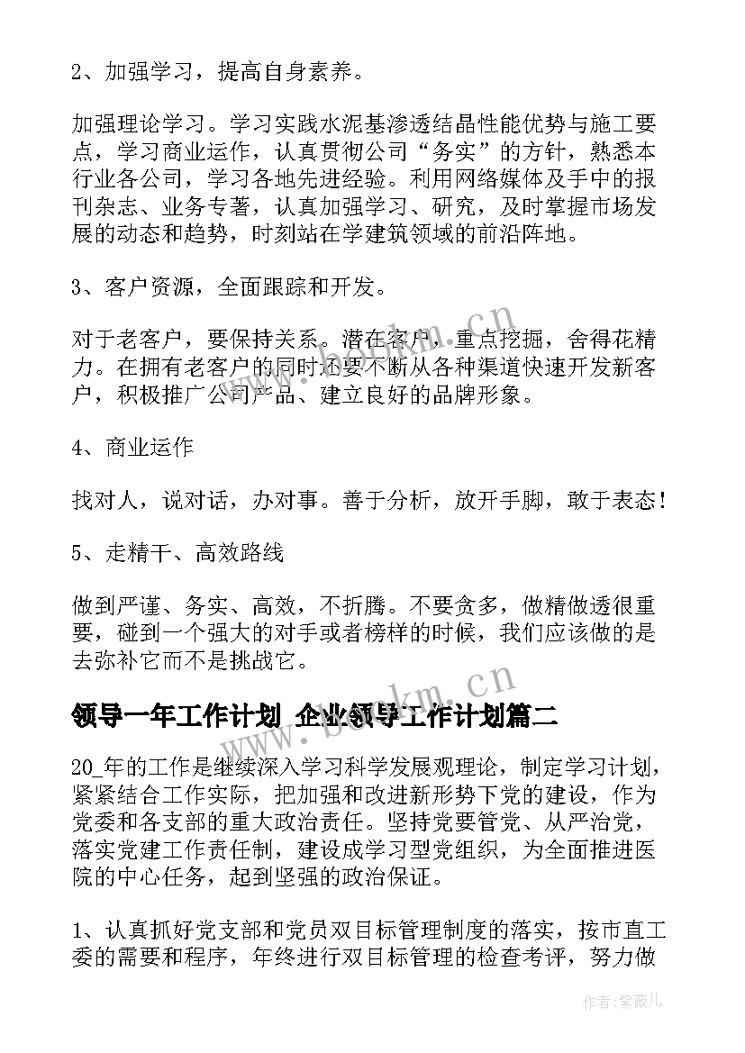 最新领导一年工作计划 企业领导工作计划(精选8篇)