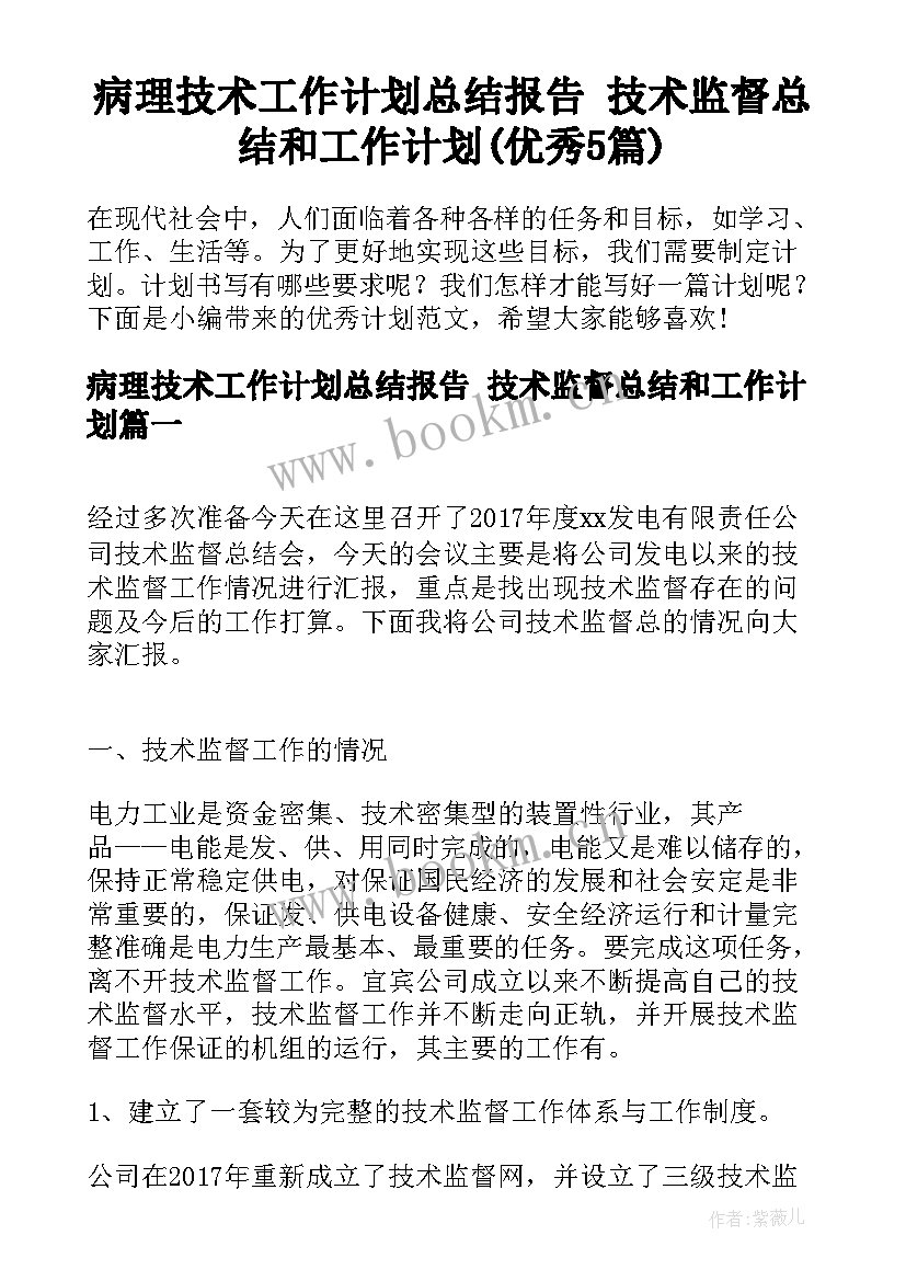 病理技术工作计划总结报告 技术监督总结和工作计划(优秀5篇)