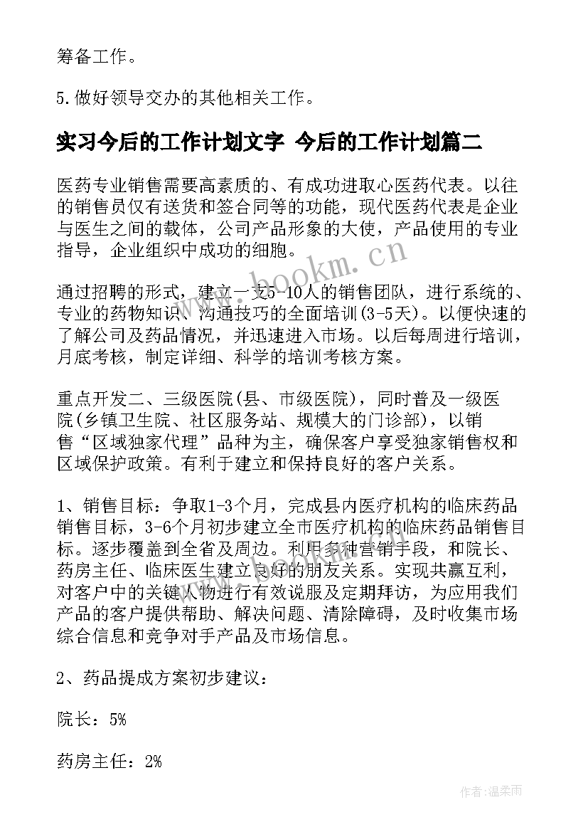 实习今后的工作计划文字 今后的工作计划(大全6篇)