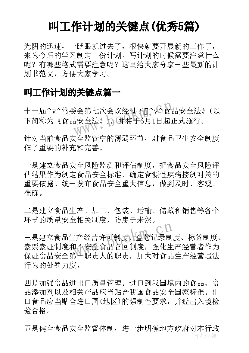 叫工作计划的关键点(优秀5篇)