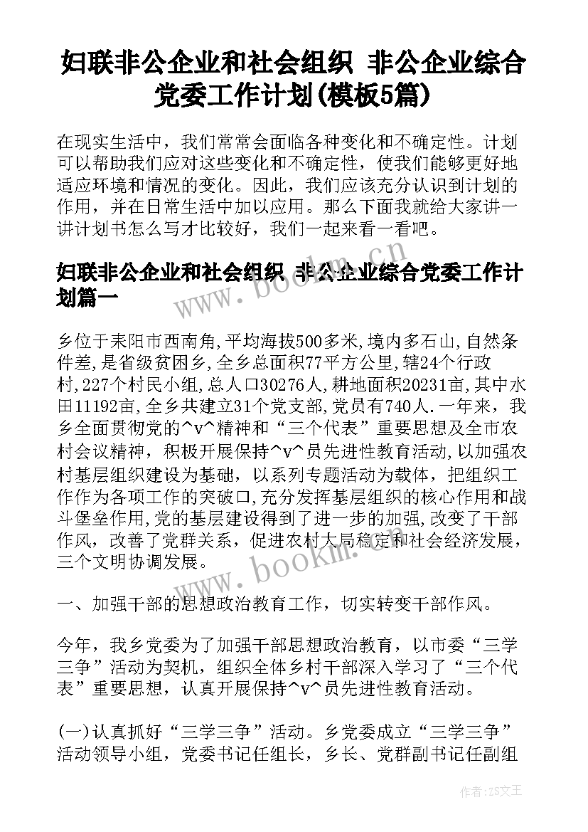 妇联非公企业和社会组织 非公企业综合党委工作计划(模板5篇)