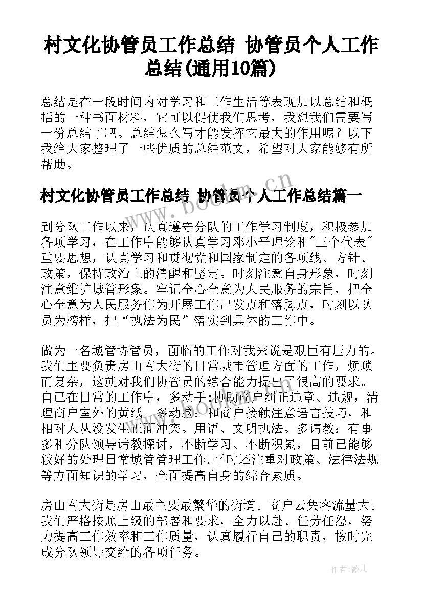 村文化协管员工作总结 协管员个人工作总结(通用10篇)