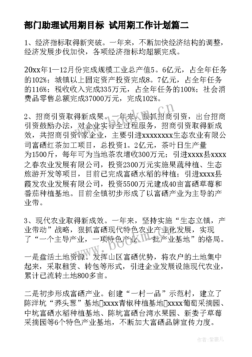 2023年部门助理试用期目标 试用期工作计划(通用5篇)