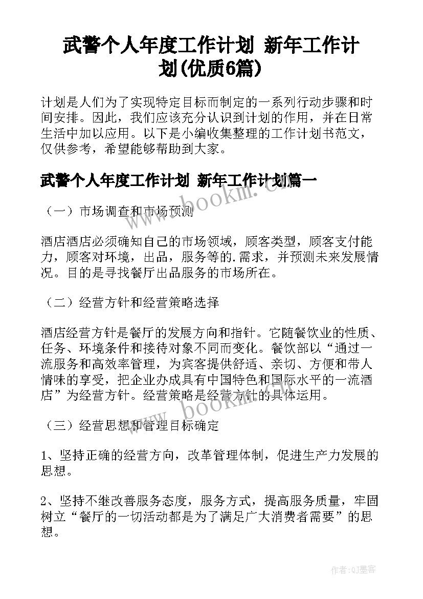 武警个人年度工作计划 新年工作计划(优质6篇)