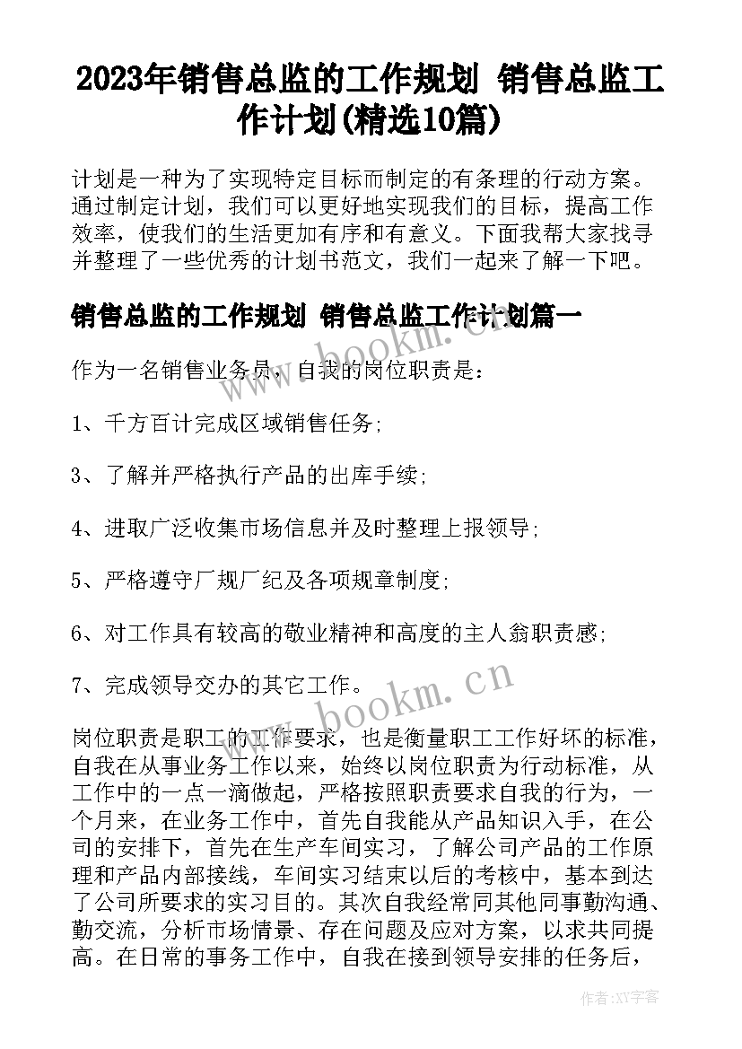 2023年销售总监的工作规划 销售总监工作计划(精选10篇)