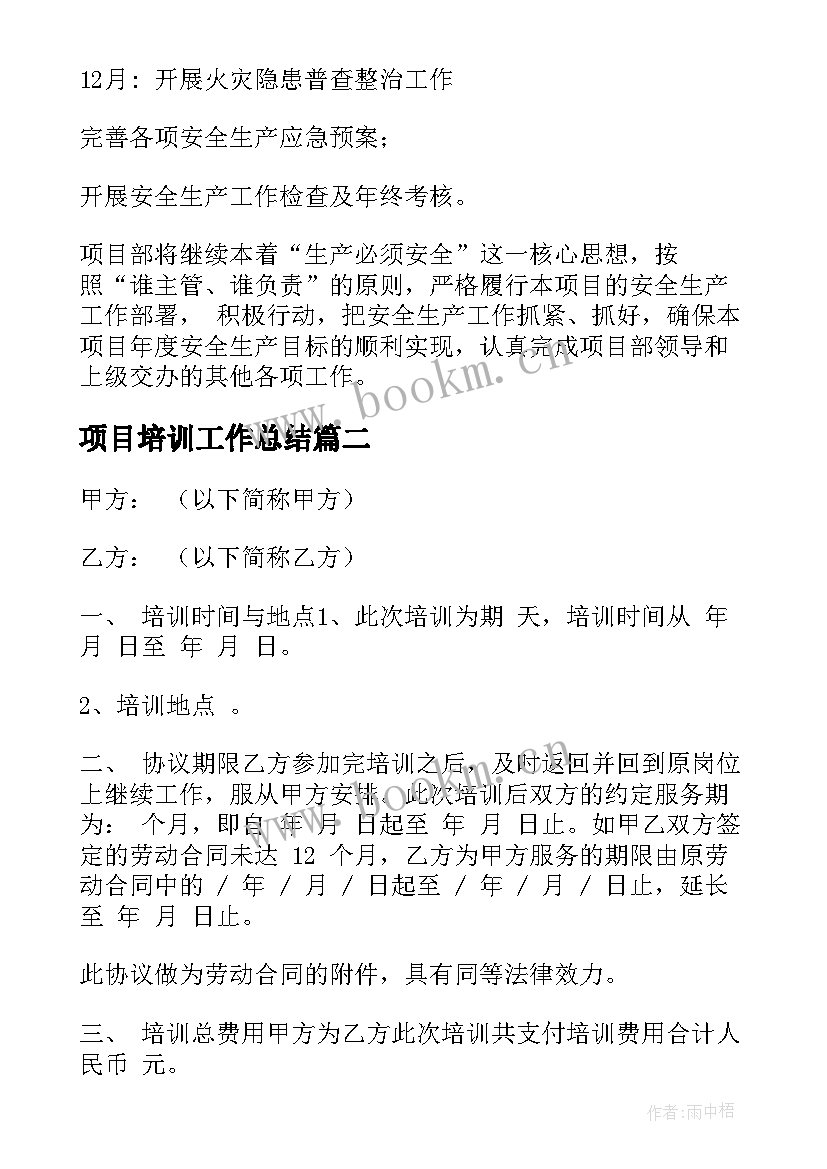 2023年项目培训工作总结(优秀6篇)