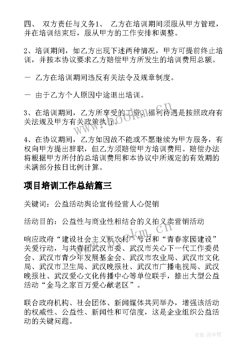 2023年项目培训工作总结(优秀6篇)