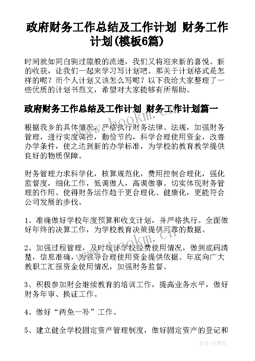 政府财务工作总结及工作计划 财务工作计划(模板6篇)