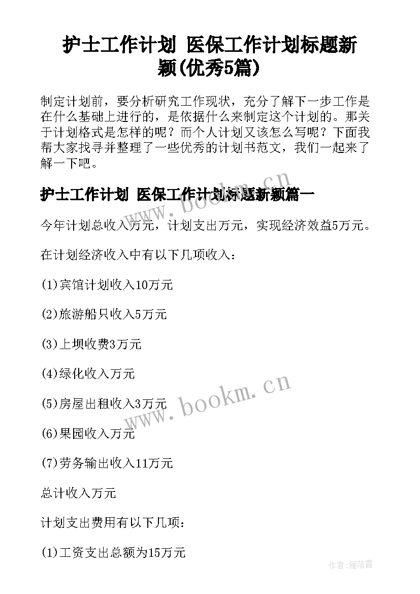 护士工作计划 医保工作计划标题新颖(优秀5篇)