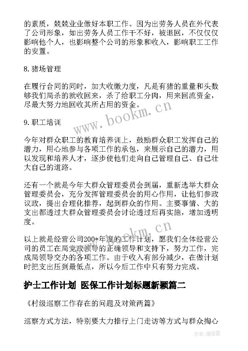 护士工作计划 医保工作计划标题新颖(优秀5篇)