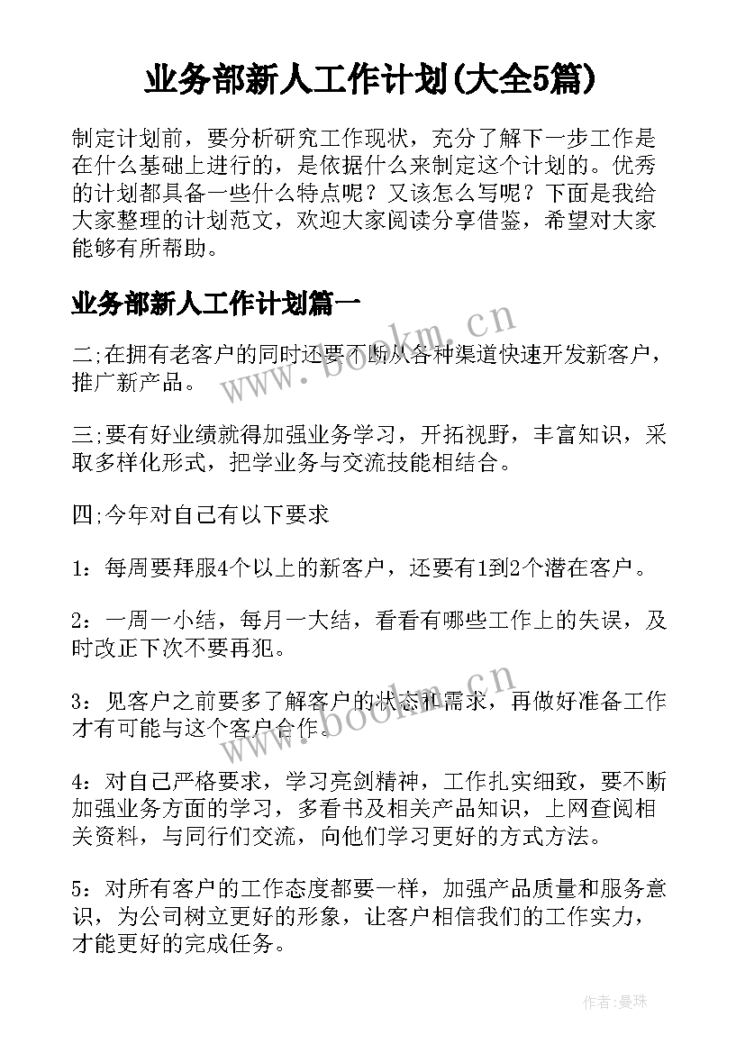 业务部新人工作计划(大全5篇)