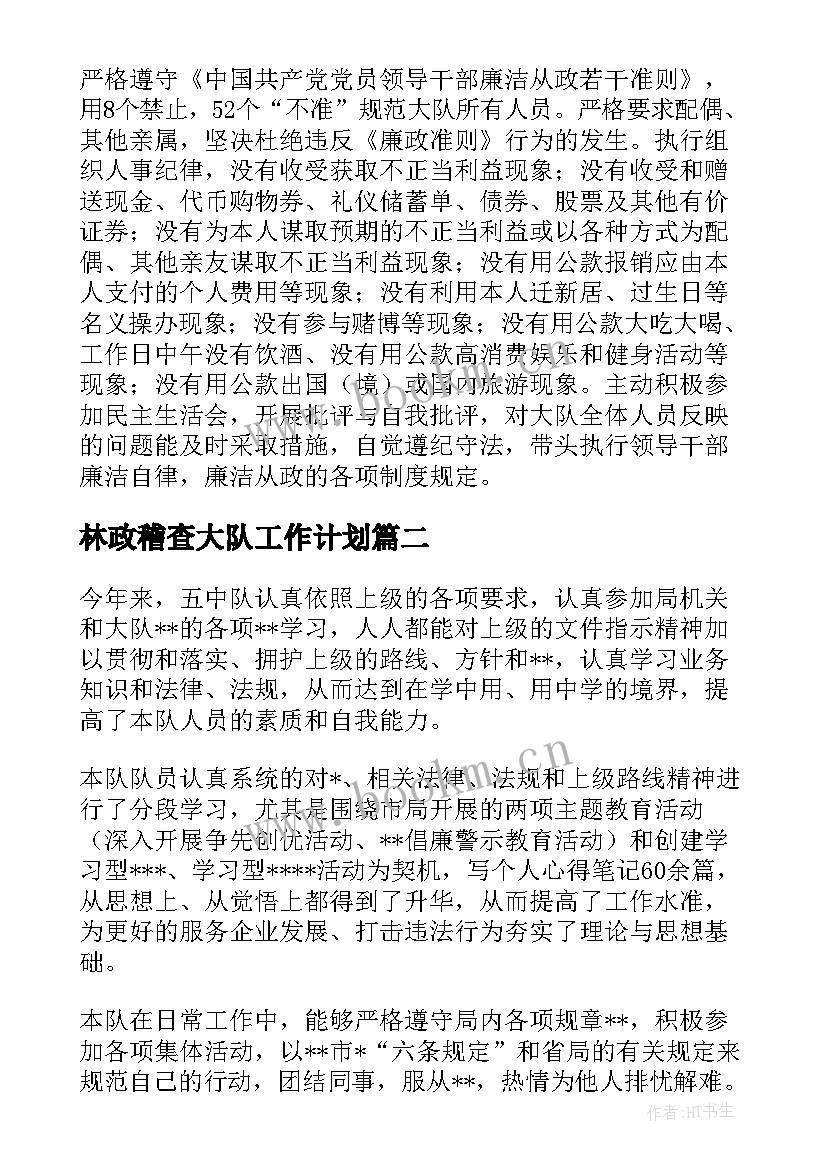 林政稽查大队工作计划(实用5篇)