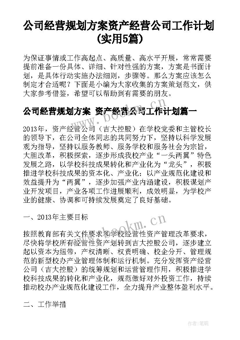 公司经营规划方案 资产经营公司工作计划(实用5篇)