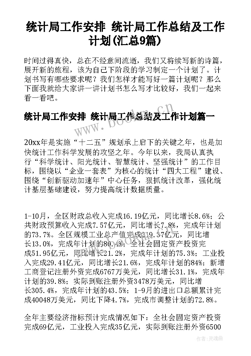 统计局工作安排 统计局工作总结及工作计划(汇总9篇)