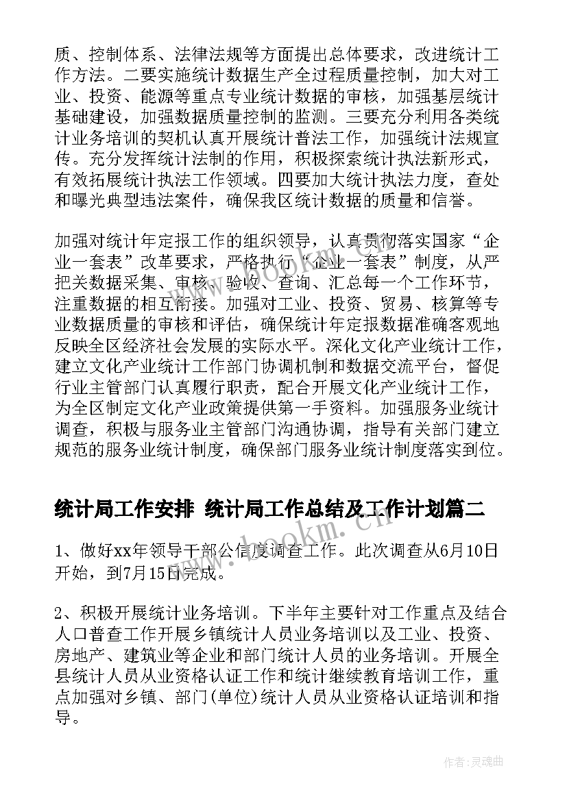 统计局工作安排 统计局工作总结及工作计划(汇总9篇)