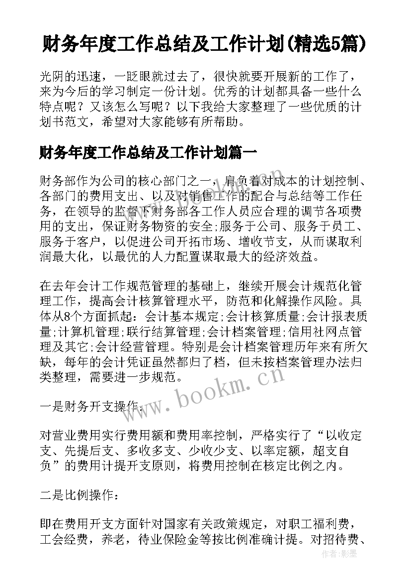 财务年度工作总结及工作计划(精选5篇)