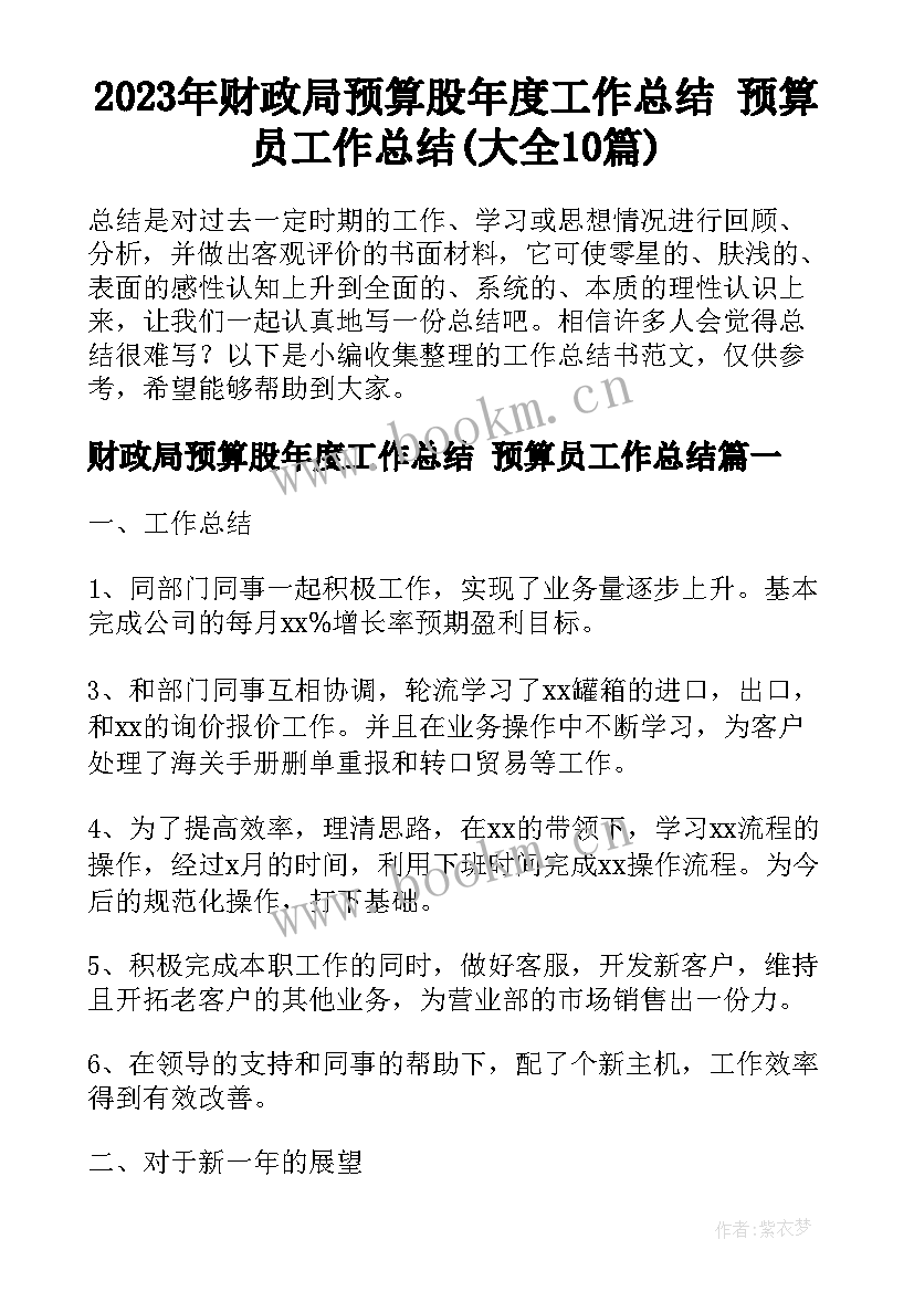 2023年财政局预算股年度工作总结 预算员工作总结(大全10篇)