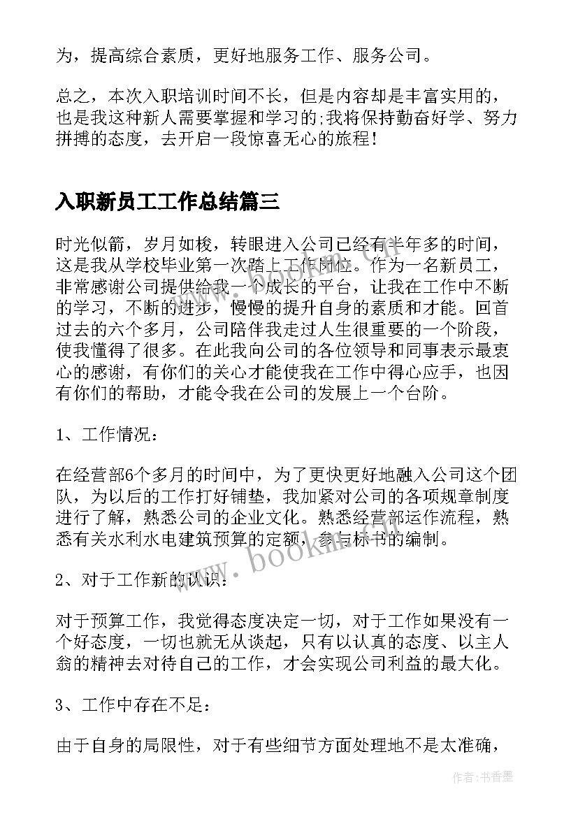 2023年入职新员工工作总结(大全10篇)