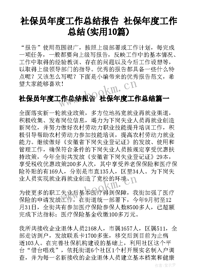 社保员年度工作总结报告 社保年度工作总结(实用10篇)