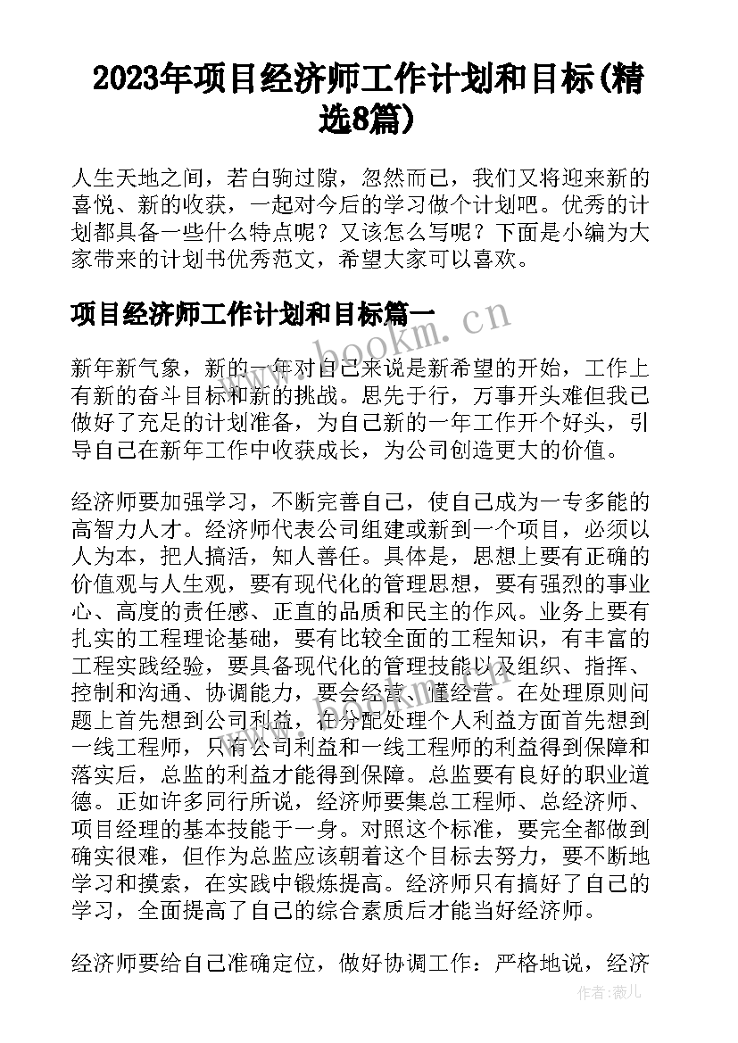 2023年项目经济师工作计划和目标(精选8篇)