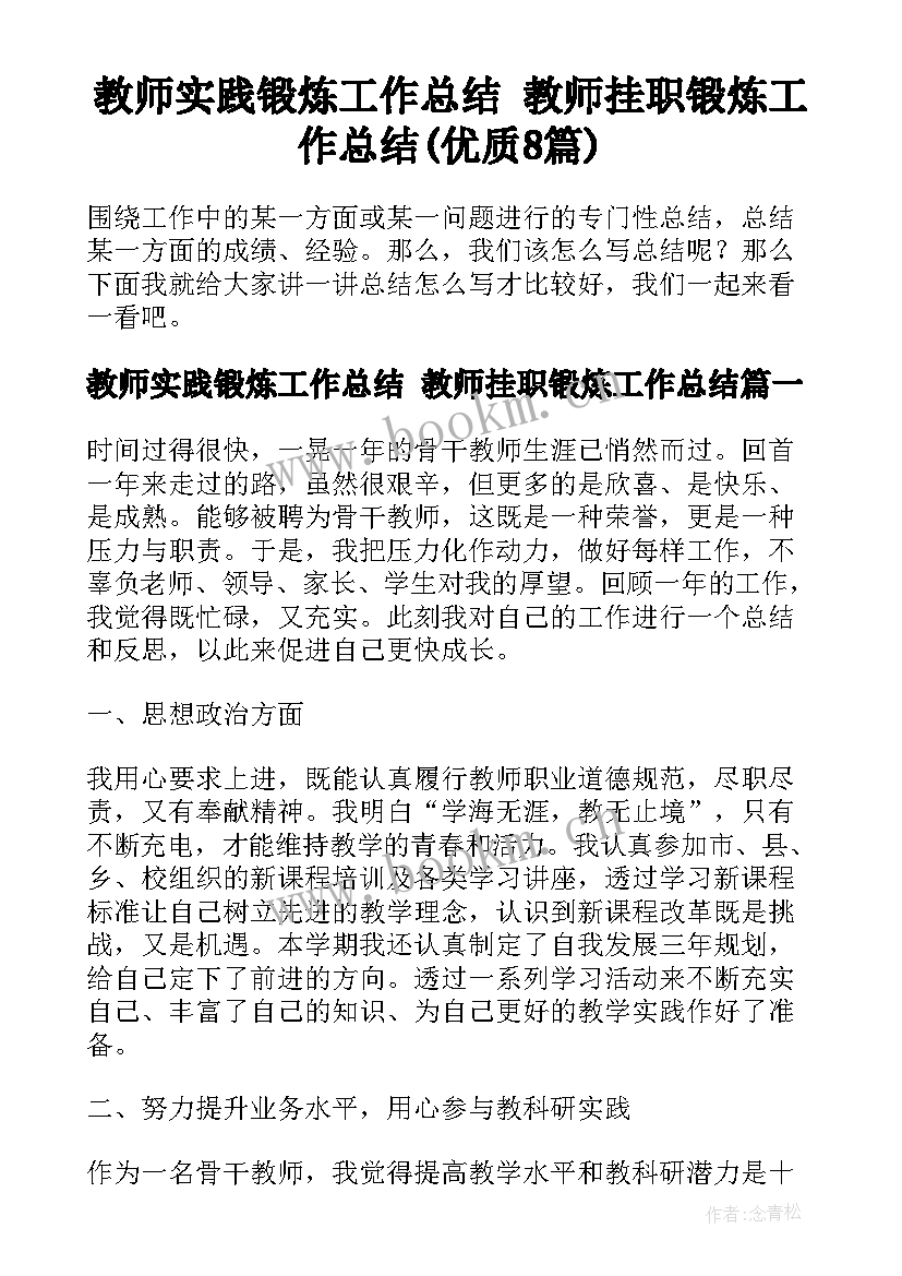 教师实践锻炼工作总结 教师挂职锻炼工作总结(优质8篇)