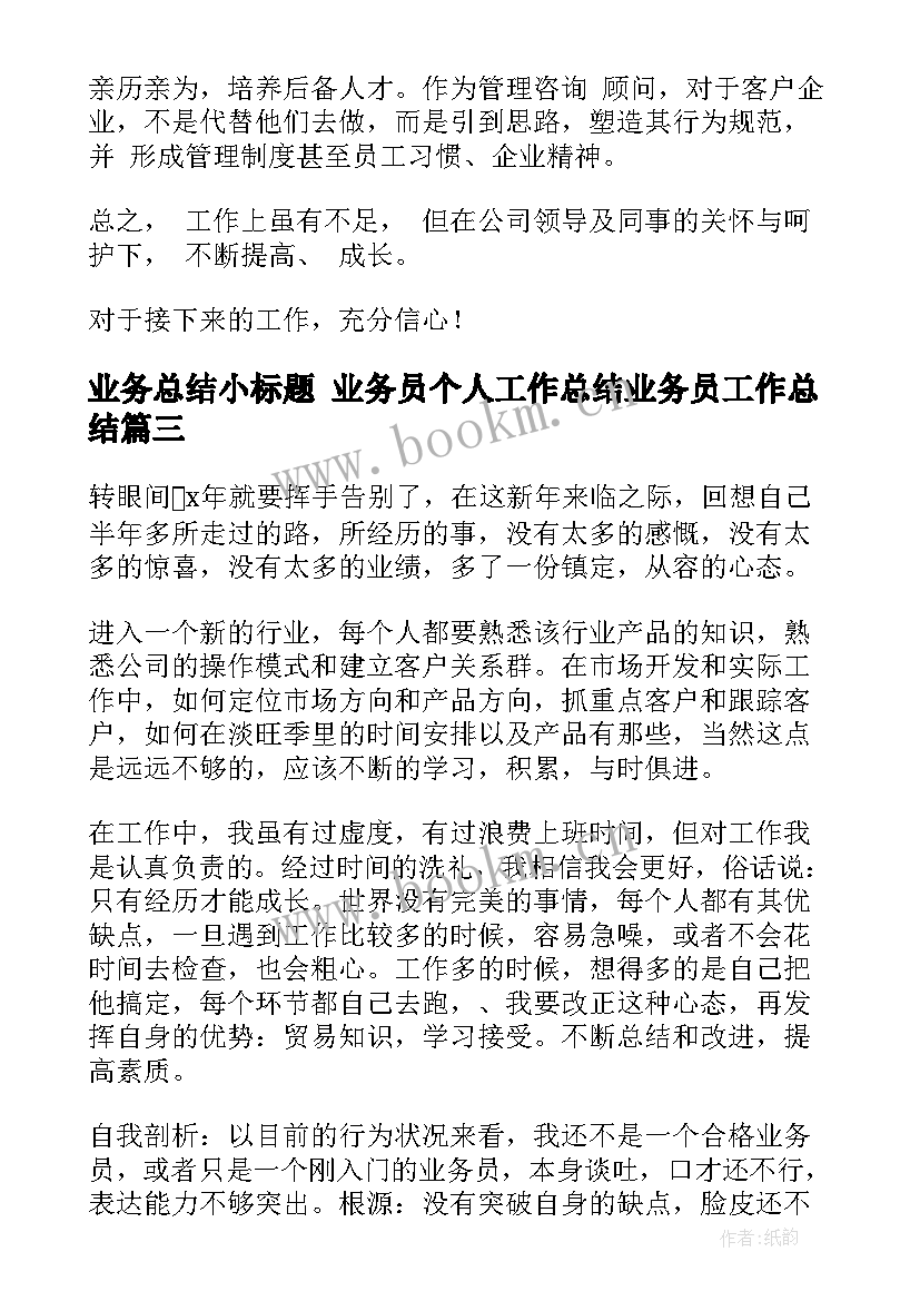 2023年业务总结小标题 业务员个人工作总结业务员工作总结(大全7篇)