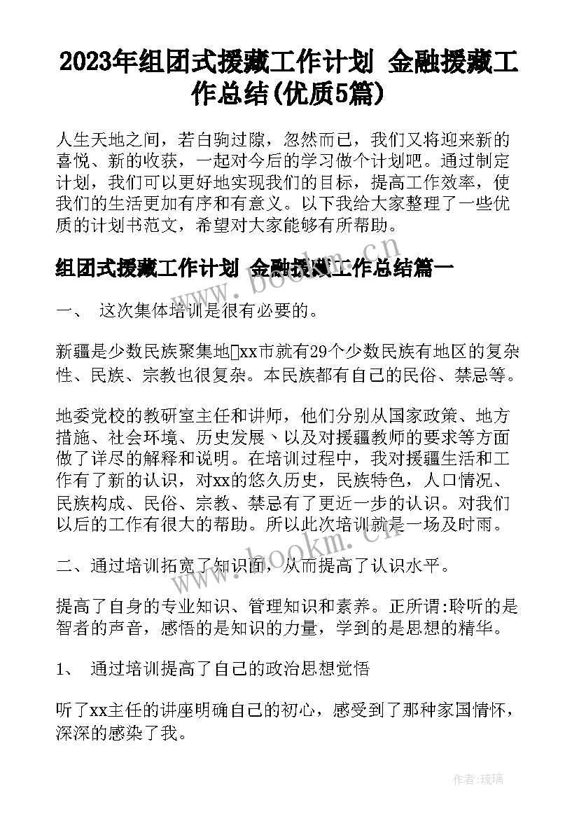 2023年组团式援藏工作计划 金融援藏工作总结(优质5篇)