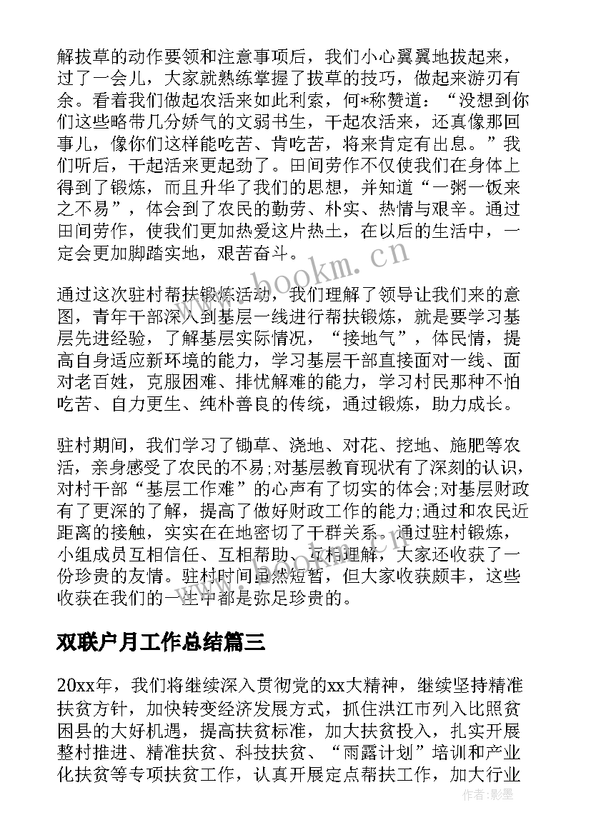 2023年双联户月工作总结(大全5篇)