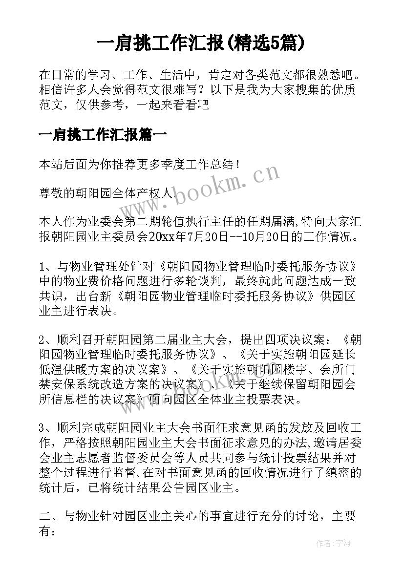 一肩挑工作汇报(精选5篇)