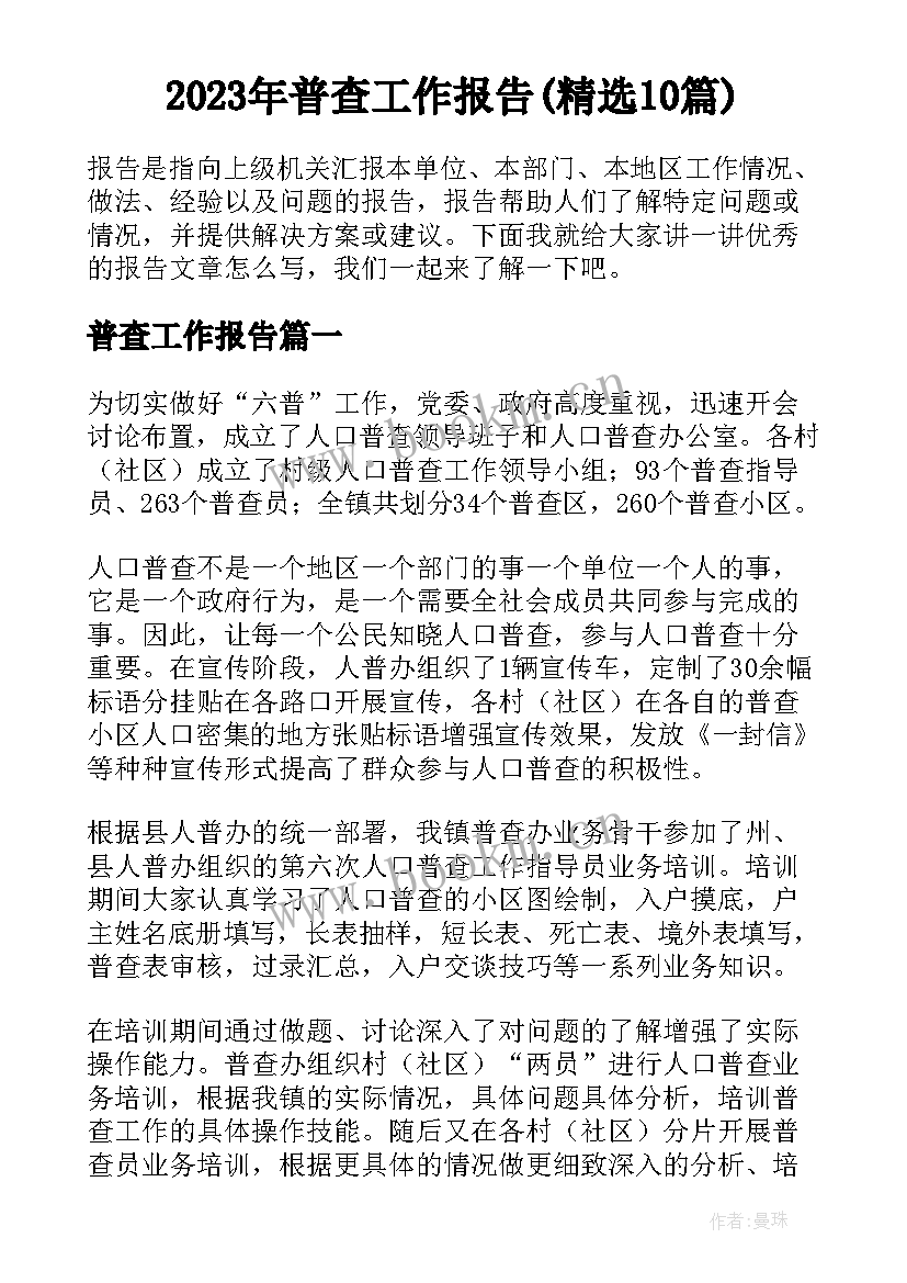 2023年普查工作报告(精选10篇)