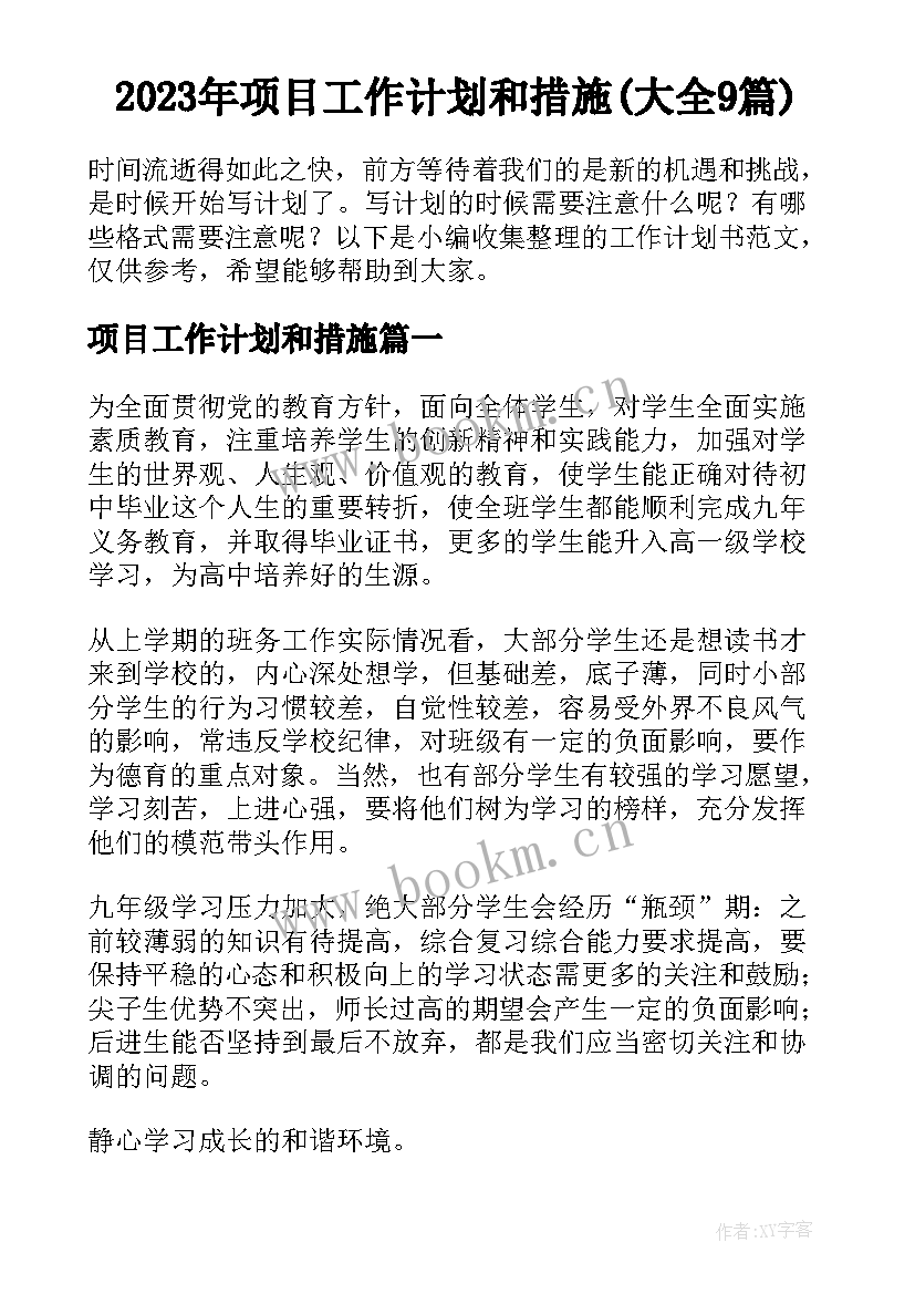 2023年项目工作计划和措施(大全9篇)