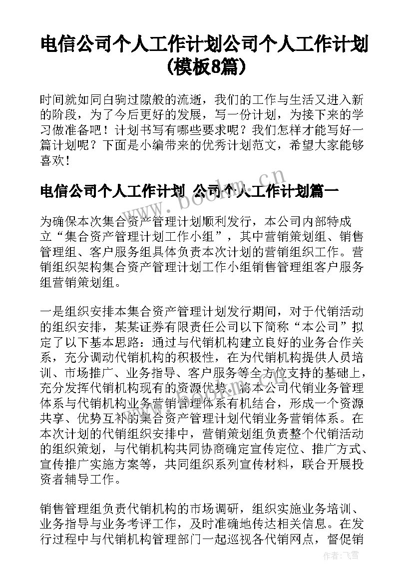 电信公司个人工作计划 公司个人工作计划(模板8篇)