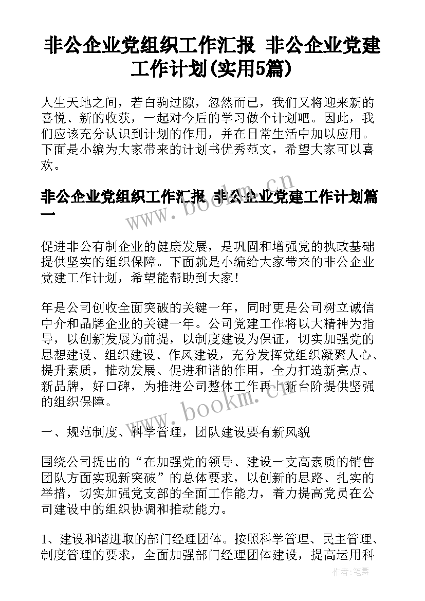 非公企业党组织工作汇报 非公企业党建工作计划(实用5篇)