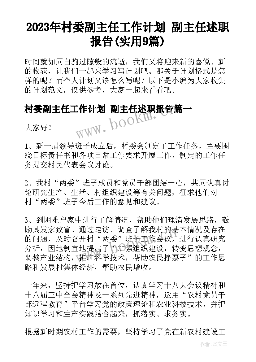 2023年村委副主任工作计划 副主任述职报告(实用9篇)