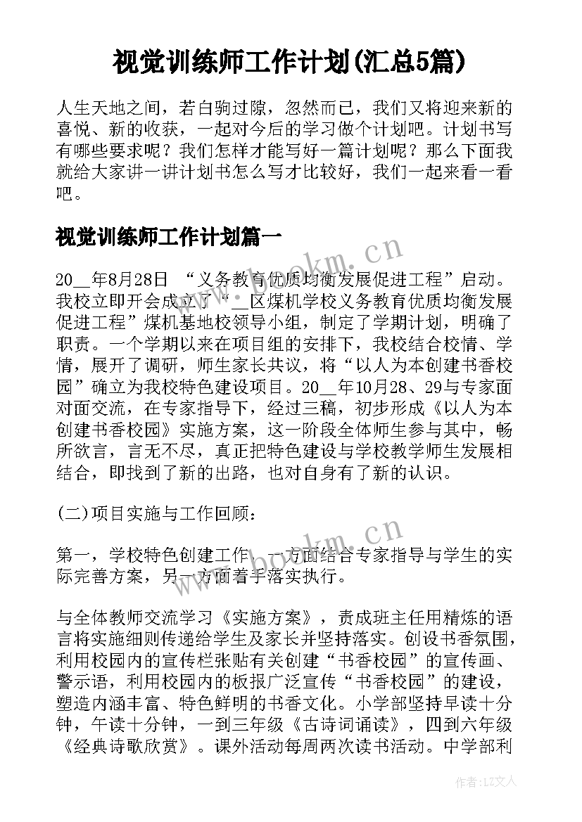 视觉训练师工作计划(汇总5篇)