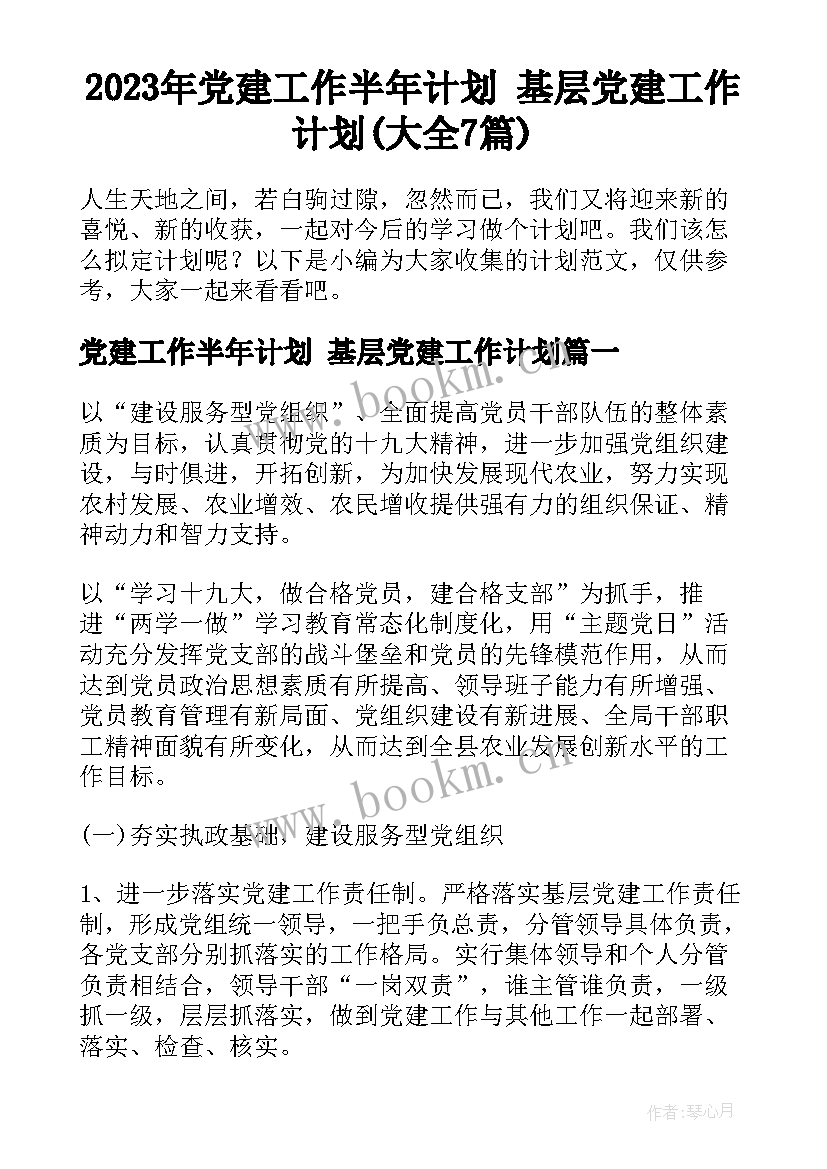 2023年党建工作半年计划 基层党建工作计划(大全7篇)