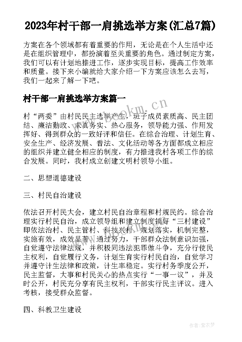 2023年村干部一肩挑选举方案(汇总7篇)