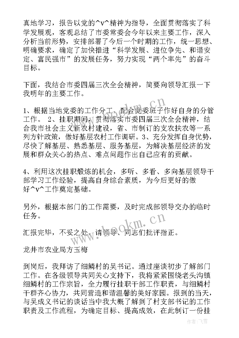 挂职三年工作计划书(精选6篇)