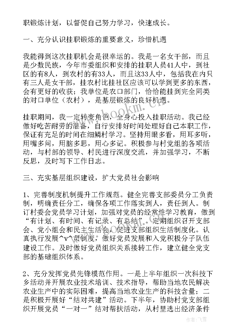 挂职三年工作计划书(精选6篇)