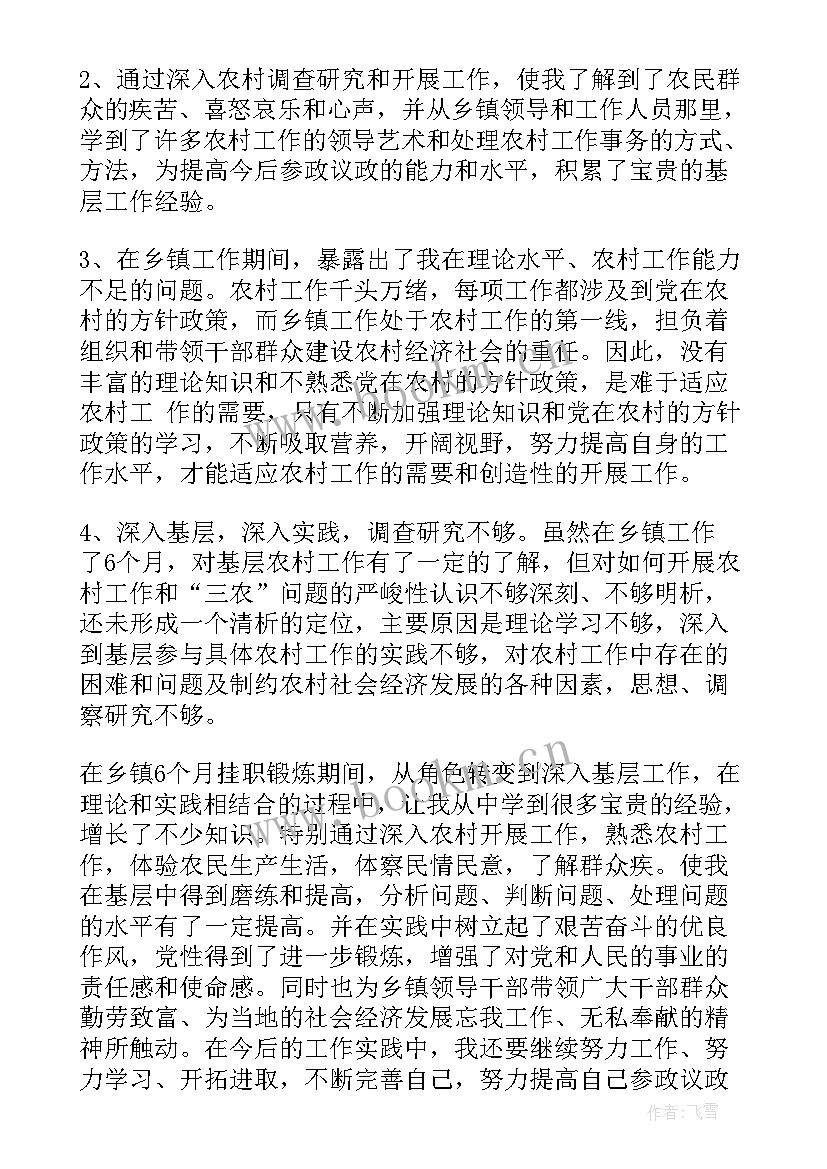 挂职三年工作计划书(精选6篇)